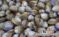 花蛤如何判断是活的 怎么看出花蛤是活的