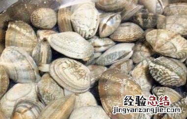 花蛤如何判断是活的 怎么看出花蛤是活的
