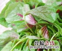 苋菜的功效与作用及副作用 苋菜的功效与作用