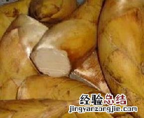 冬笋的功效与作用 冬笋的功效与作用图片