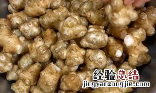 腌洋姜咸菜的做法大全视频窍门 腌洋姜咸菜的做法大全