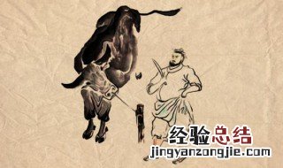 庖丁解牛的故事内容和寓意是什么 庖丁解牛的故事内容和寓意简单介绍