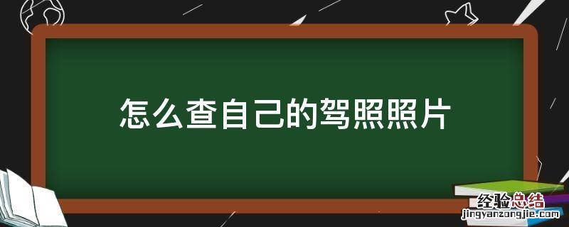怎么查自己的驾照照片 如何查询自己驾驶证照片