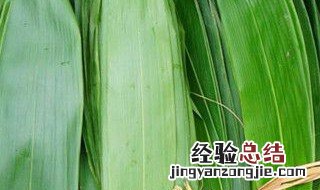 干粽子叶煮多长时间 干粽子叶煮多长时间能熟
