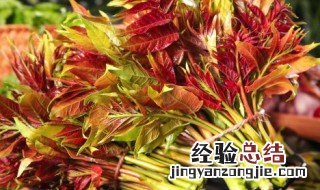 鲜香椿的保存方法 鲜香椿如何保鲜