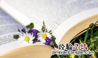saw怎么读 saw读法