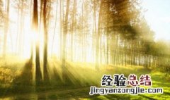关于保护环境句子 有关保护环境的句子范例