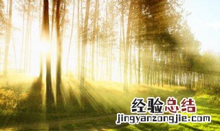 关于保护环境句子 有关保护环境的句子范例