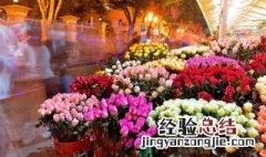 七月生日花语和祝福意义 7月生日花语