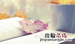 师傅大大是什么意思 大师傅是什么意思