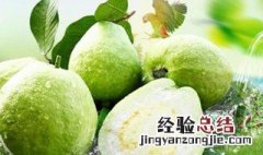 芭乐可以连皮吃吗 芭乐可以吃皮么