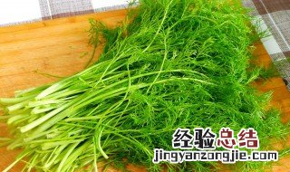 小茴香怎么吃 小茴香怎么吃治胃病