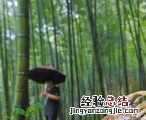 蝉花怎么吃 蝉花怎么吃效果最好