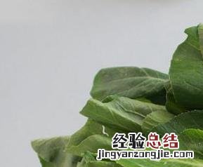 小白菜炖豆腐怎么做好吃 小白菜怎么做好吃