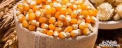 爆米花的玉米和普通玉米有什么区别 爆米花的玉米和普通玉米有什么区别图片