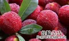 杨梅酒有保质期 杨梅酒的保质期