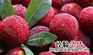 杨梅酒有保质期 杨梅酒的保质期