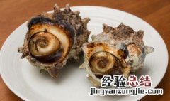 海螺的正确吃法 海螺的正确吃法图解 部位