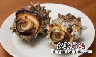 海螺的正确吃法 海螺的正确吃法图解 部位