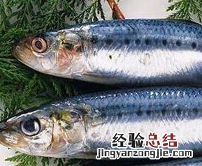 青鱼的功效与作用 青鱼的功效与作用营养价值