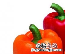 彩椒的营养价值与功效与作用 彩椒的营养价值与功效