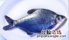 武昌鱼属于淡水鱼吗 武昌鱼是淡水鱼还是海水鱼