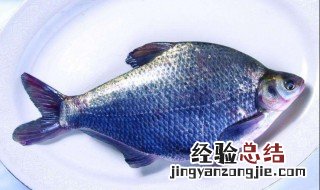 武昌鱼属于淡水鱼吗 武昌鱼是淡水鱼还是海水鱼