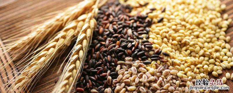 谷物类有哪些食物 谷物类有哪些食物英文