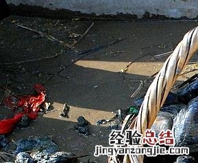 河蚌怎么清洗详细 河蚌怎么洗干净