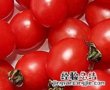 圣女果的功效与作用 圣女果的功效与作用及营养价值