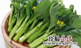 菜心的保存方法 菜心保存时间