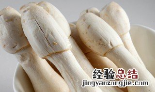 鸡腿蘑菇的做法大全 鸡腿蘑菇的烹饪方法