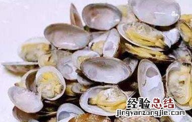 花蛤如何去沙放多少盐 花蛤如何去沙