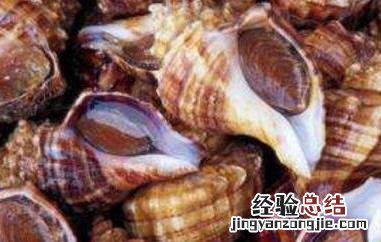 海螺怎么洗最快最干净 海螺怎么清洗才干净
