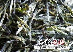 东白春芽是什么茶 东白春芽茶的价格