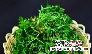 荠菜团子的做法和配方大全 荠菜团子的做法和配方