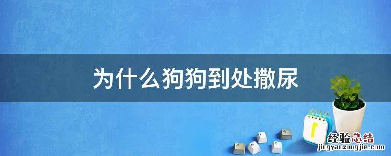 为什么狗狗到处撒尿 狗狗为何到处撒尿