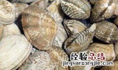 花蛤蒸饭教程 做花蛤蒸饭步骤