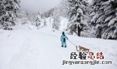表扬雪的句子有些什么 关于雪的句子有什么