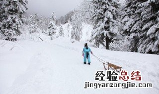 表扬雪的句子有些什么 关于雪的句子有什么