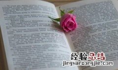 无所作为是什么意思 无所作为无所不为的意思