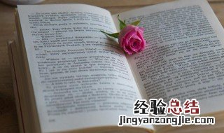 英姿飒爽,是什么意思 飒爽英姿是什么意思