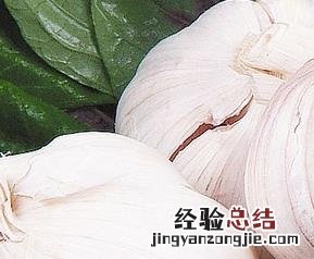 大蒜怎么吃好最有营养? 大蒜怎么吃好