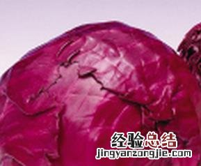 吃紫甘蓝的营养价值与功效与作用 吃紫甘蓝的营养价值与功效
