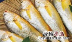 小黄鱼是淡水鱼还是海水鱼好像是海水鱼好像是海鱼 小黄鱼是淡水鱼还是海水鱼