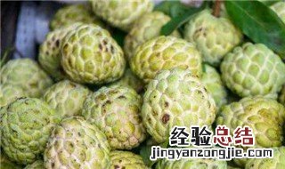 番荔枝怎么样才算熟 番荔枝怎么才算熟