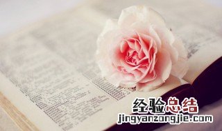 表示晚安的唯美句子 比较唯美的晚安心语