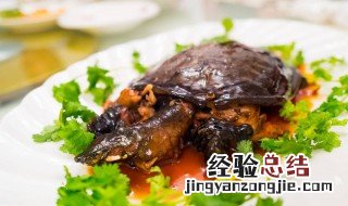 冰糖甲鱼教程 怎么做冰糖甲鱼