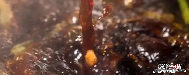 卤水可以保存多久 卤龙虾的卤水可以保存多久