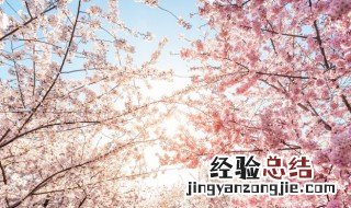 十二月的花神是什么花 十二个月花卉花神传说